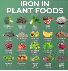 iron in plant food