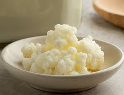 kefir