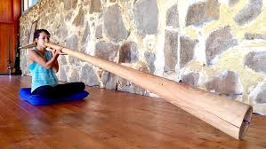 Didgeridoo